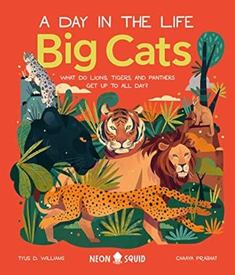 Big Cats (A Day in the Life): What Do Lions, Tigers and Panthers Get up to All D 
