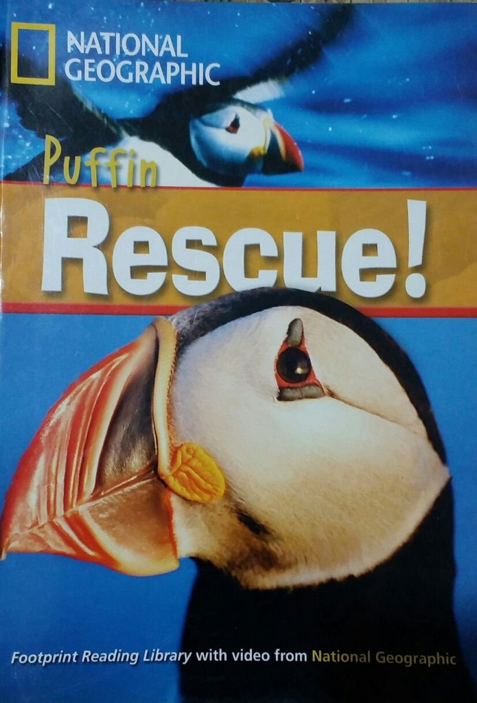 Puffin Rescue!