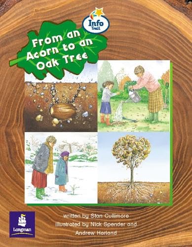 From an Acorn to an Oak Tree