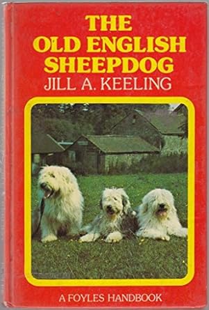 Old English Sheepdog 