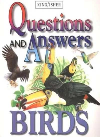 Questions and Answer Birds