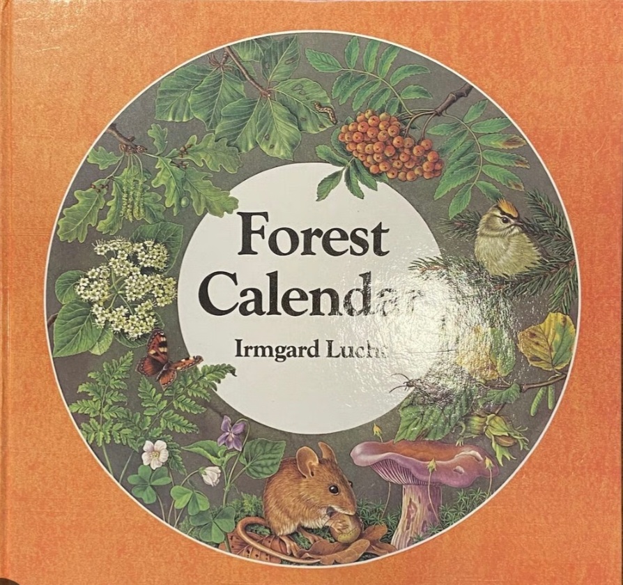 Forest Calendar 