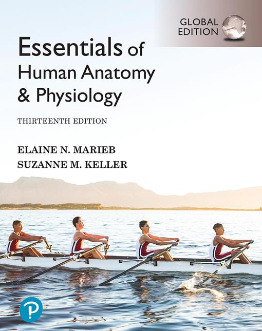 [EBOOK] Essentials of Human Anatomy & Physiology, 13th Edition, Global Edition